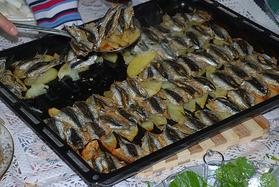 Fırında Hamsi Tarifi ve Malzemeleri